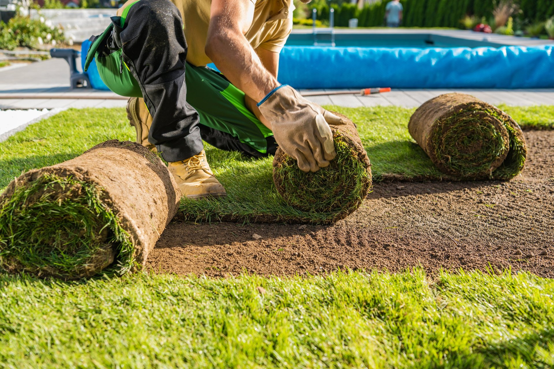 Large rolls of natural grass turfs being installed inside a backyard garden landscaping