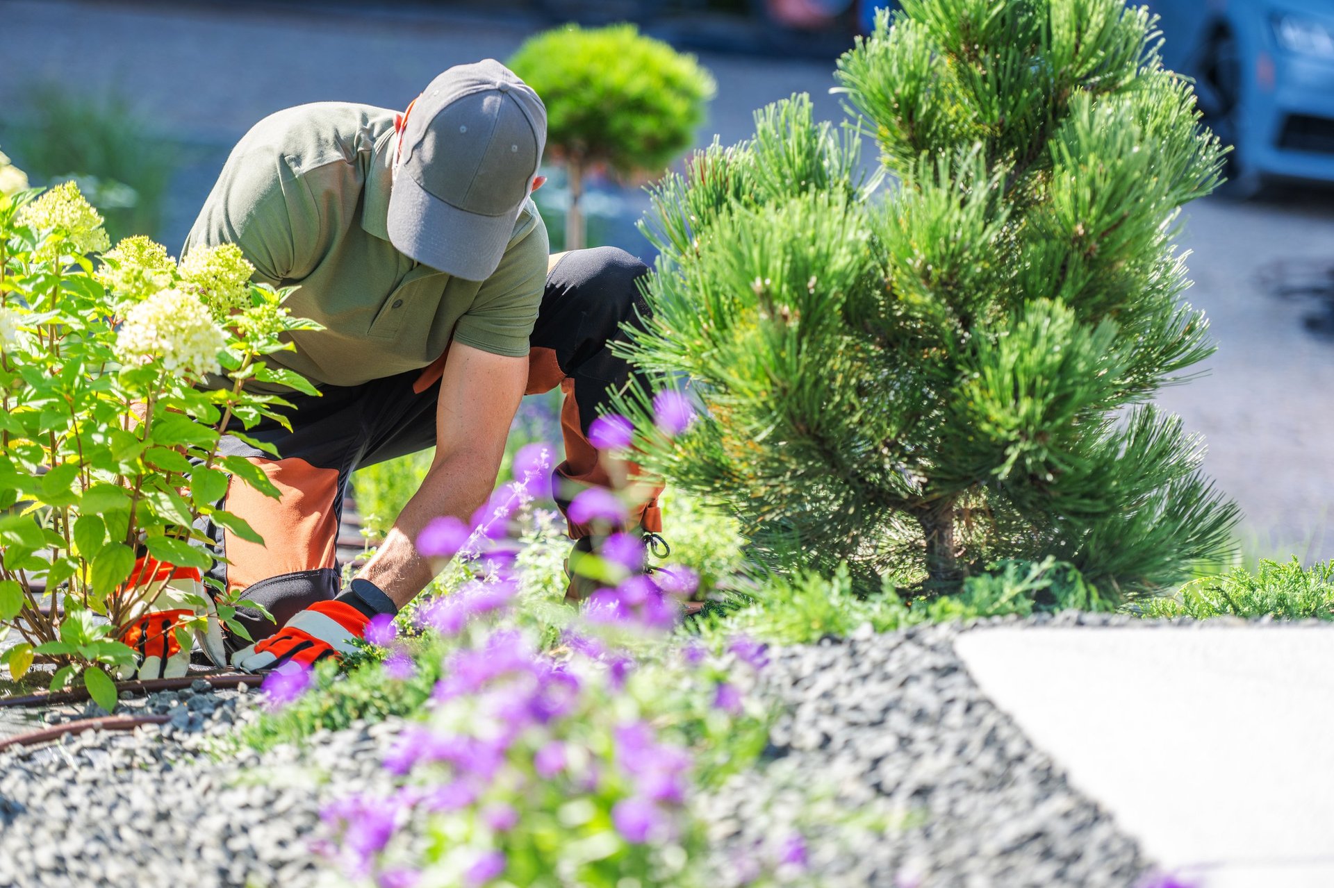 Professional landscaping worker tending to garden plants