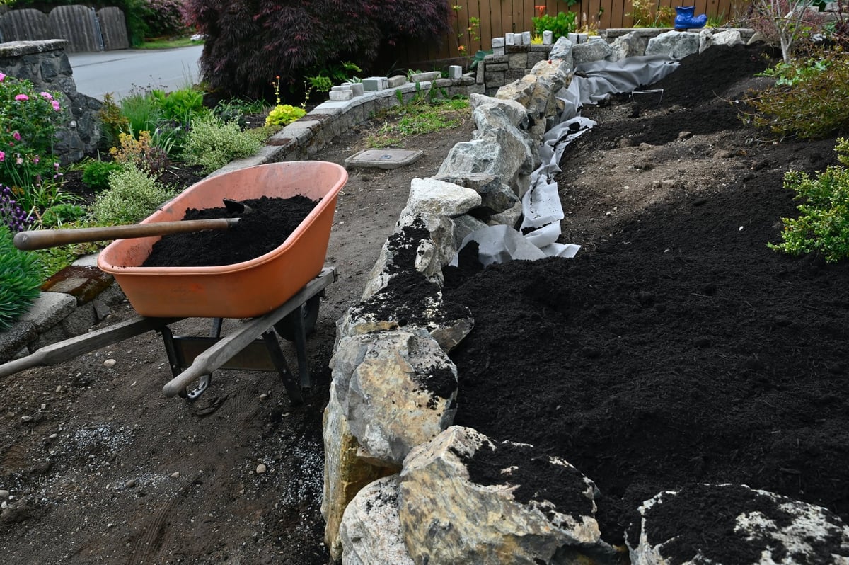 Professional landscaping garden design project