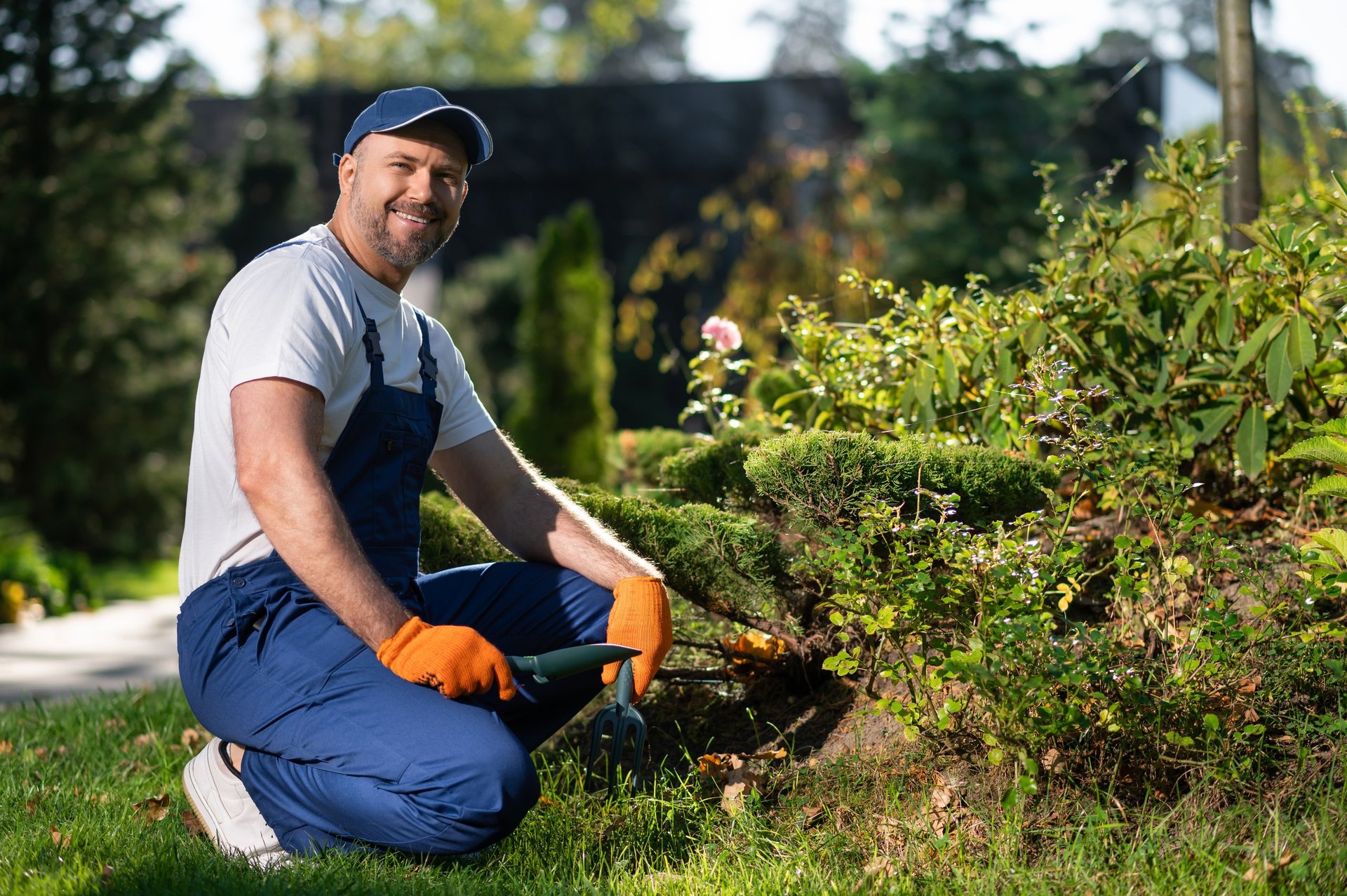 Smiling male worker using shovel for planting and soil preparation near bushes
